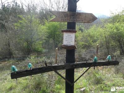 Sierra de Caurel-Viaje Semana Santa;parque nacional de monfragüe viajes programados pedriza madrid n